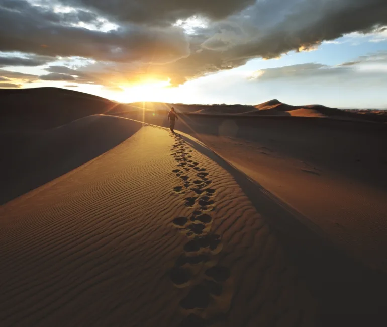 Lorem ipsum dolor sit amet consectetur adipiscing